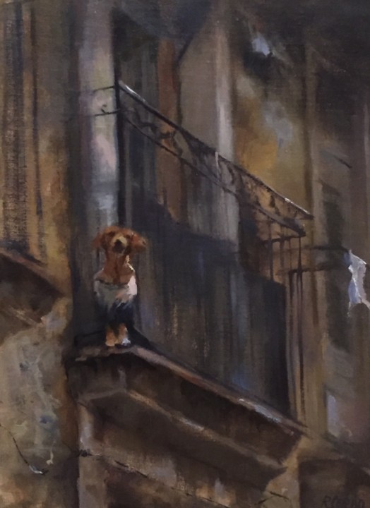 Cuban Dog on Balcony