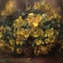 Yellow Begonias